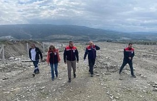 Buharkent ilek bahçesinde hazırlıklar sürüyor