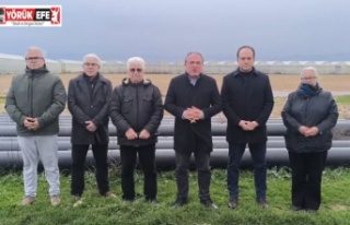 CHP’li Karakoz sordu “Seralara jeotermal sıcak...