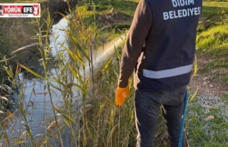 DİDİM’DE HALK SAĞLIĞI İÇİN VEKTÖRLERE KARŞI...