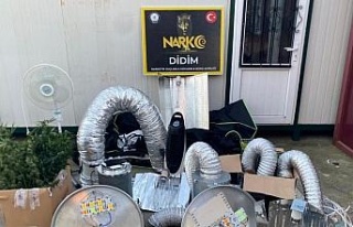 Didim’de uyuşturucu operasyonu: Kenevir yetiştirme...