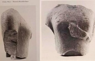 Doğaseverler Yılancıburnu’nun önemine dikkat...