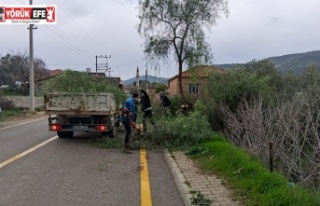 EFELER BELEDİYESİ KUVVETLİ FIRTINA VE SAĞANAĞA...