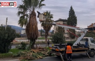 EFELER BELEDİYESİ’NDEN UMURLU KARAYOLU’NDA ÇALIŞMA