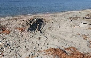 Kuşadası kıyılarında tarih gün yüzüne çıkıyor