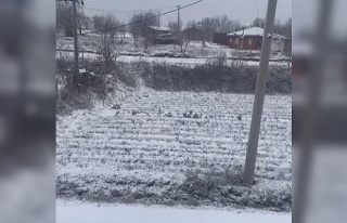 Aydın’ın yüksekleri beyaza büründü