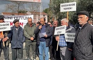 DEGÜF üyeleri deve güreşlerinin yapılmamasını...