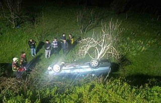 Domuza çarpan otomobil uçuruma yuvarlandı