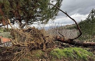 Karacasu’da aşırı yağışlar sonrası toprak...