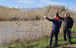 Köşk’te su altında kalan ve zarar gören ekili...