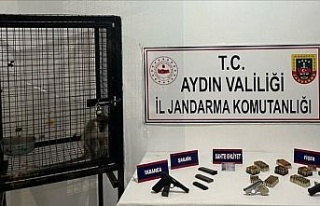 Kuşadası’nda ruhsatsız silah ve maymun ele geçirildi