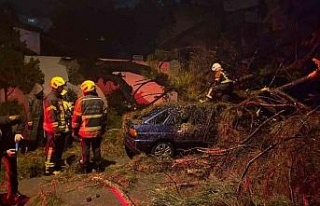 Önce duvarı yıktı sonra otomobilin üzerine devrildi:...