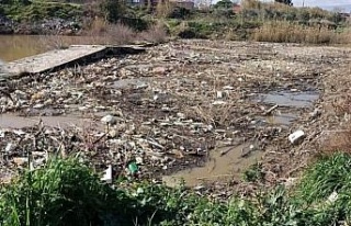 Tarihi taş köprü temizlendi, doğaseverler "yüzer...