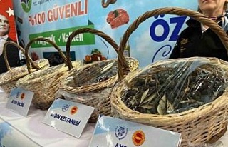 Tarım Fuarı’nda büyükşehrin standına vatandaşlardan...