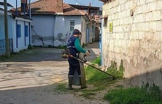 Efeler Belediyesi’nin yeşil alan çalışmaları...