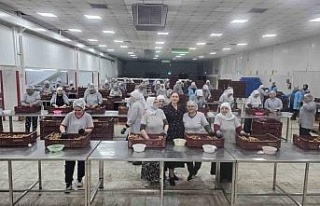 Kaymakam Kan: "Kadınlar yine kadınların hayatını...