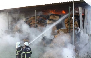 300 Ton Saman Kül Oldu 