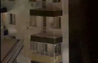 5. Kattan Örümcek Gibi Aşağı İnen Zanlı Yakalanmaktan...