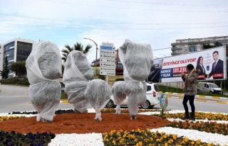 Ağaçları Dona Karşı Elyafla Korudular 