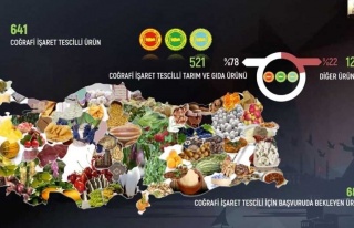 Anadolu Arı Ürünleri Coğrafi İşaretler İle...