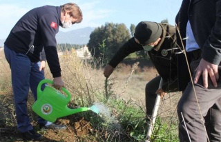 Aydın’Da, 112 Fidan Toprakla Buluştu 