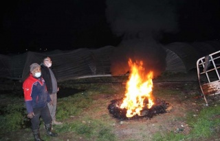 Aydın’Da İlginç Yöntemle Zirai Don Nöbeti 