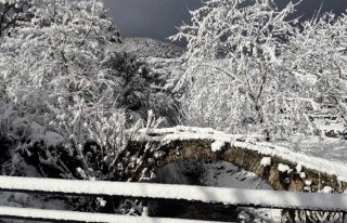 Aydın’Da Kar Yağışı İle Kartpostallık Görüntüler...
