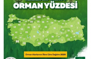 Aydın’In Yüzde 40’I Ormanlarla Kaplı 