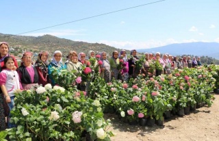 Büyükşehir, Kadınları Üretime Yöneltiyor 