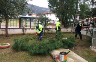 Didim Belediyesi Kentin Geleceğine Güzellik Katıyor...