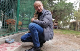 Didim Belediyesi’Nden Besleme Çalışması 