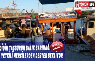 DİDİM TAŞBURUN BALIK BARINAĞI YETKİLİ MERCİLERDEN...