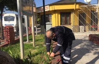 Efeler Belediyesi, Muhtarlıkları Çiçeklendirdi...