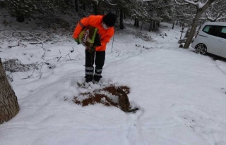 Efeler Belediyesi Kar Mesaisi Yaptı 