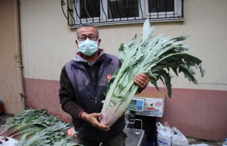 Enginar Pazarın Gözdesi Haline Geldi 