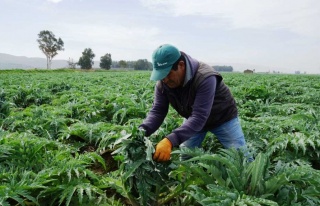 Enginarda Soğuğa Karşı Seferberlik İlan Edildi...