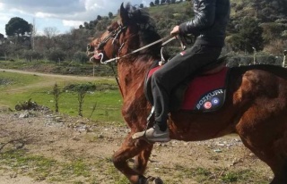 Evde Kanlar İçinde Bulunan Genç Jokey Kurtarılamadı...