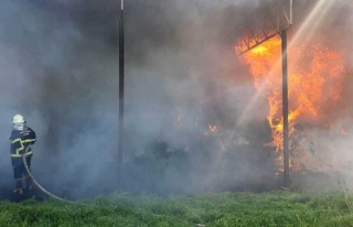 Kargılık Alanda Çıkan Yangın 20 Ton Samanı Kül...