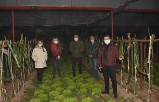 Kaymakam Zirai Don Nöbeti Tutan Çiftçileri Yalnız...