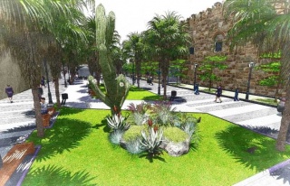 Kuşadası Belediyesi’Nden Palmiye Açıklaması...