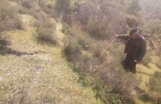 Maden Firmasının Çalışmaları Sonucu Arazisi...