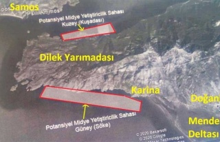 Milli Park’Ta Midye Çiftliği Tartışması 