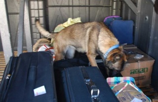 Şüpheli Otobüs Ve Yolcular Didik Didik Arandı 