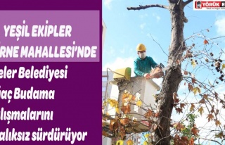  YEŞİL EKİPLER GİRNE MAHALLESİ’NDE