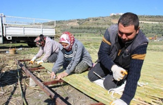 Yılda 500 Ton Kargı İşliyorlar 
