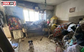 Çevreye kötü koku yayılan evden 2 kamyon çöp ile 4 köpek çıktı