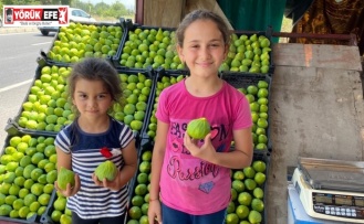 Kış uzun sürünce Aydın’da tezgahları Manisa inciri süsledi