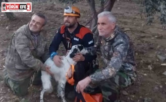 Uçurumda mahsur kalan av köpeğini Aydın AFAD kurtardı