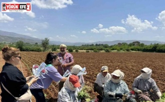 Başkan Büyükyapıcı, anneleri unutmadı