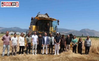 Söke Belediyesi’nde yeni sezonun buğday hasadı