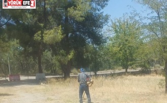 Dünyaca ünlü antik kentte kuru otlar temizlendi